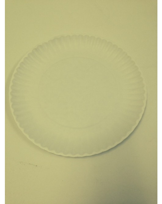 Eilat: 9 Inch Paper Plates 1200 / Case